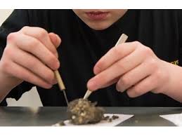 A student dissecting an owl pellet. [Click here for source](https://www.librarieshawaii.org/event/owl-pellet-dissection-lab/)