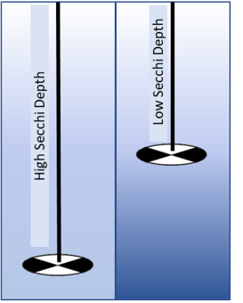 image of a secchi disk