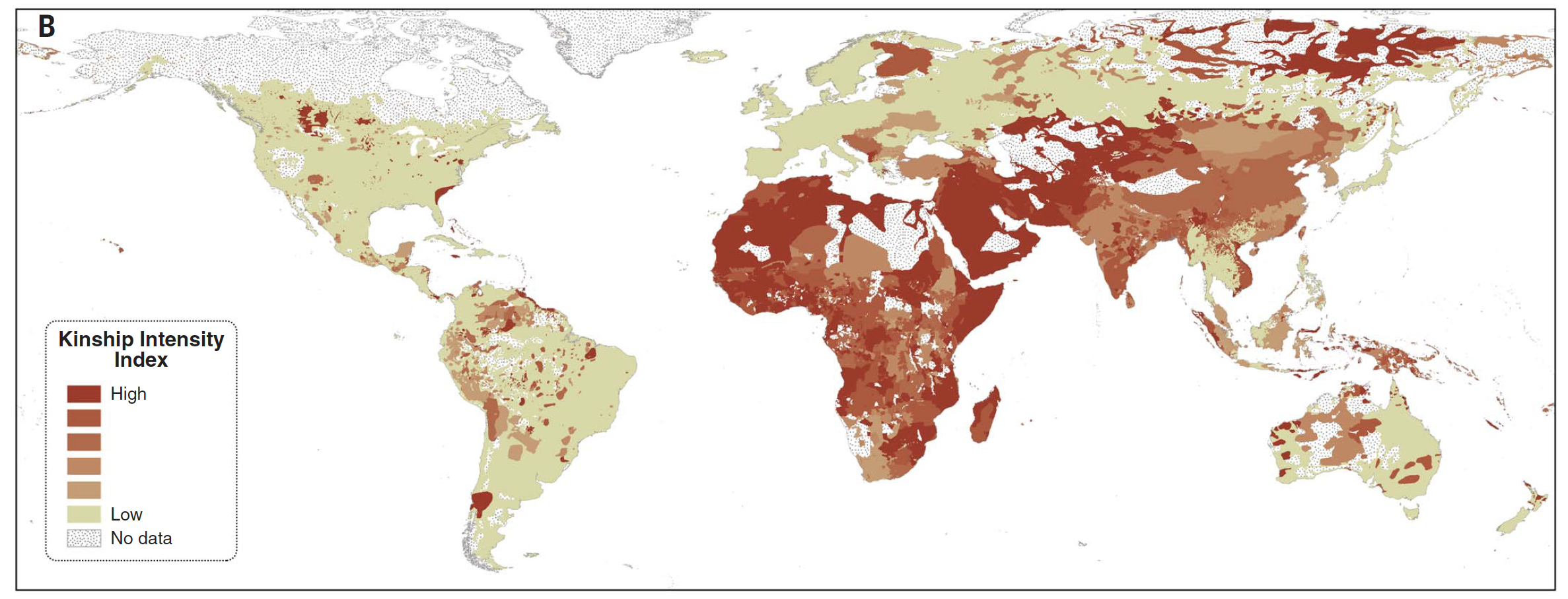 Kinship intensity index. Schulz et al., (2019)