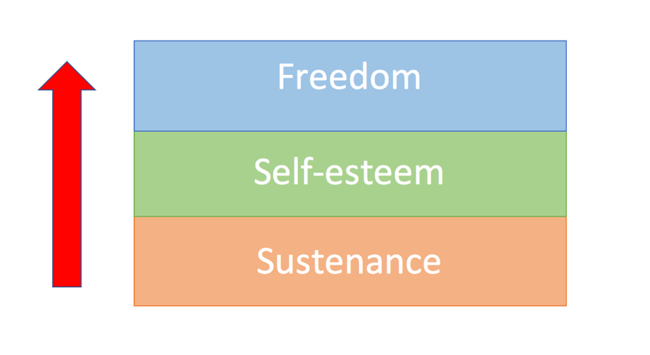 Development as Freedom, Amartya Sen (1999)