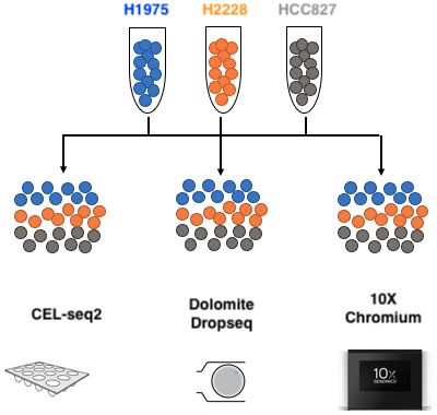 Benchmark experiment design: mixture of the three pure cells in equal proportion, processed through 3 different sequencing technologies. Adopted from Luyi Tian slides.