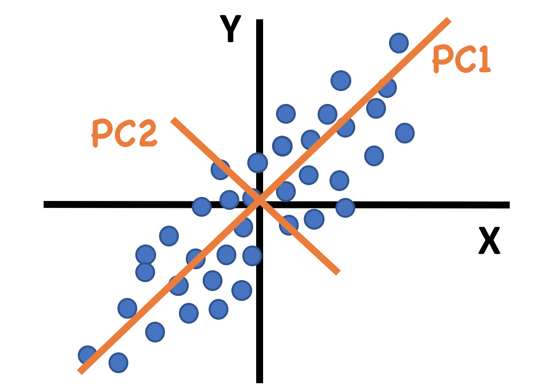 An example of principal components for data with only 2 dimensions. The first PC is along the direction of maximum variance.