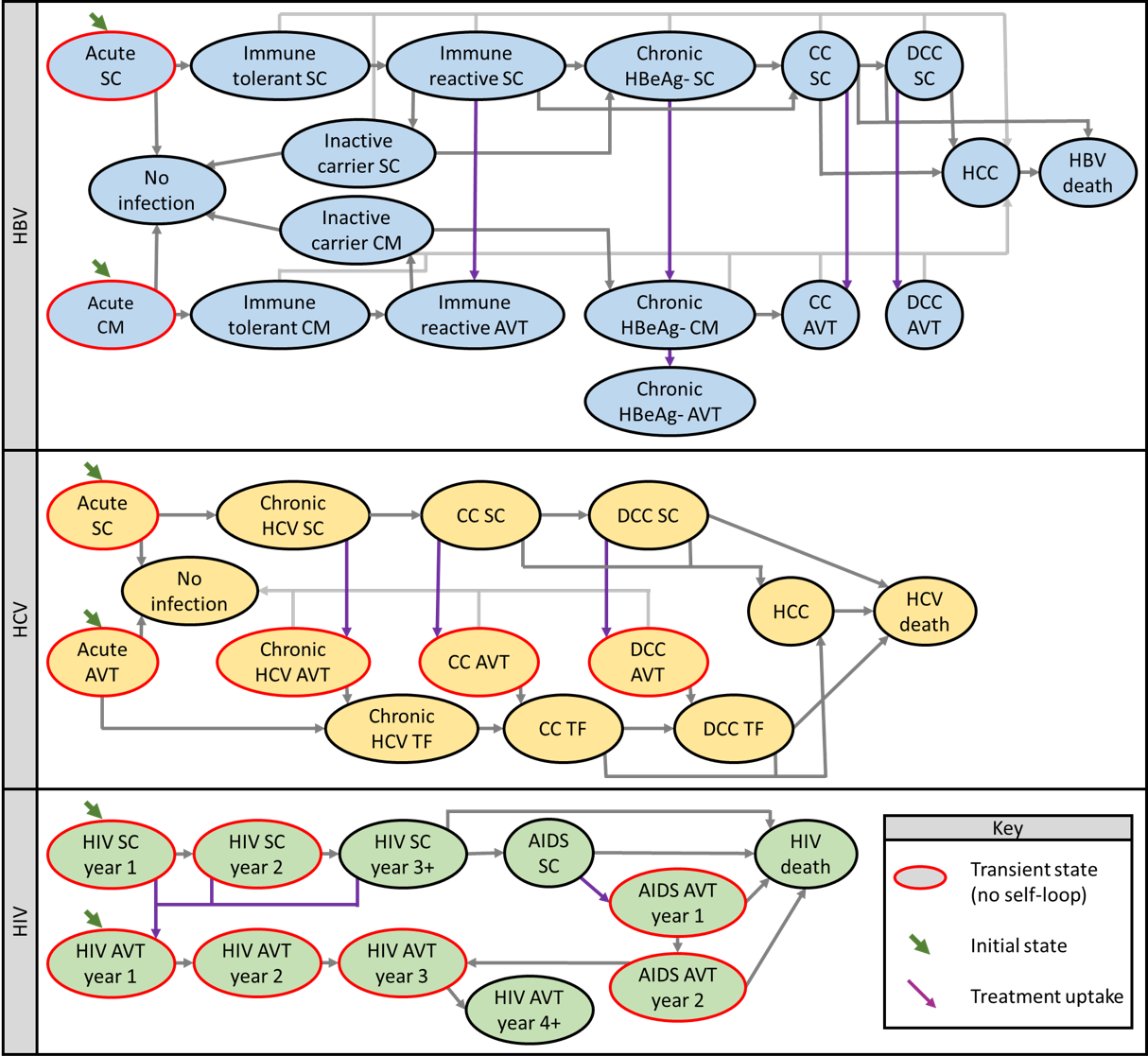 Schematics for Markov models used to estimate net-present lifetime costs for chronic viral infections.