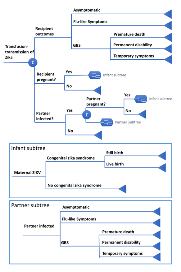 Decision tree used to determine health state given transfusion-transmission of Zika. Sigma indicates that outcomes from branches are summed together.