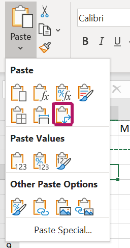 Verschillende Paste Options. Met rood gemarkeerde icoontje is Transpose