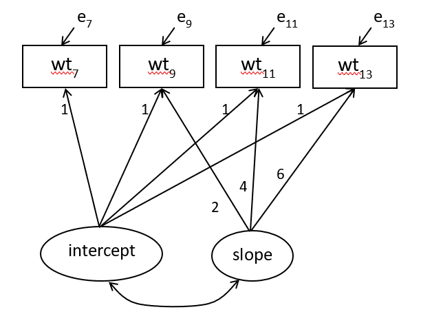 Linear growth curve model for 4 repeated bodyweight measurements