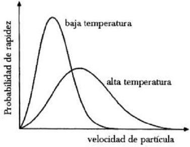 Distribución del movimiento de las moleculas de los gases.