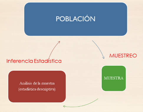 Proceso científico del análisis estadístico.