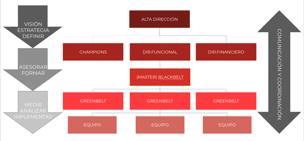 Estructura organizativa en un proyecto Seis Sigma.