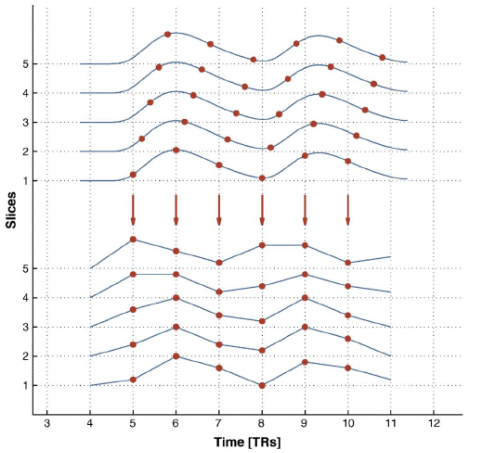 Correction for slice timing. 圖源：Sladky et al (2011).