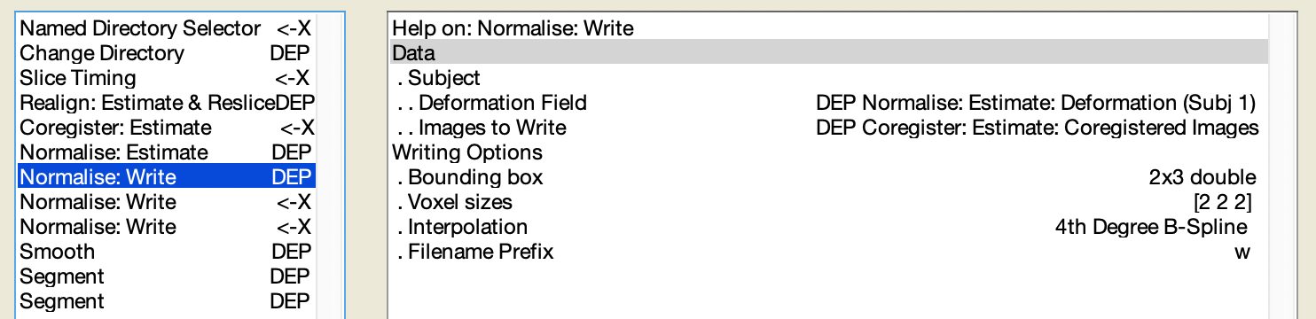 注意 `Normalise: Estimate` 中的 `Image to Align`、`Tissue probability map` 與 `Affine Regularisation`。