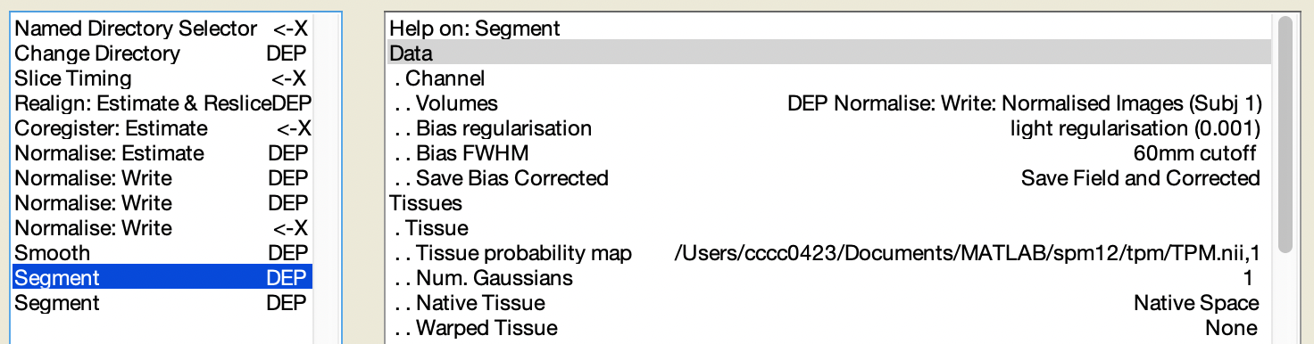 `Segment` 中的 `Volumes` 與 `Save Bias Corrected`。