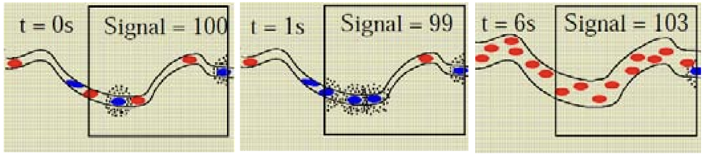 藍點代表 deoxy Hb；紅點代表 oxy Hb。圖源：Matthijs Vink, *Preprocessing and analysis of functional MRI data*, 2007.