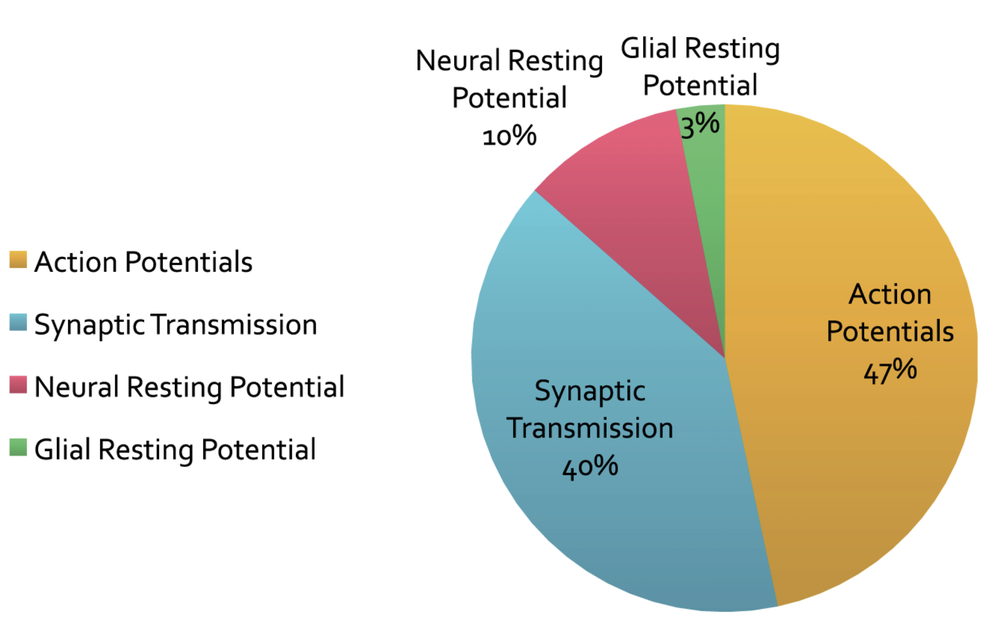 圖源：Sengupta, B., Stemmler, M. B., & Friston, K. J. (2013). Information and efficiency in the nervous system—a synthesis. *PLoS computational biology, 9*(7), e1003157.