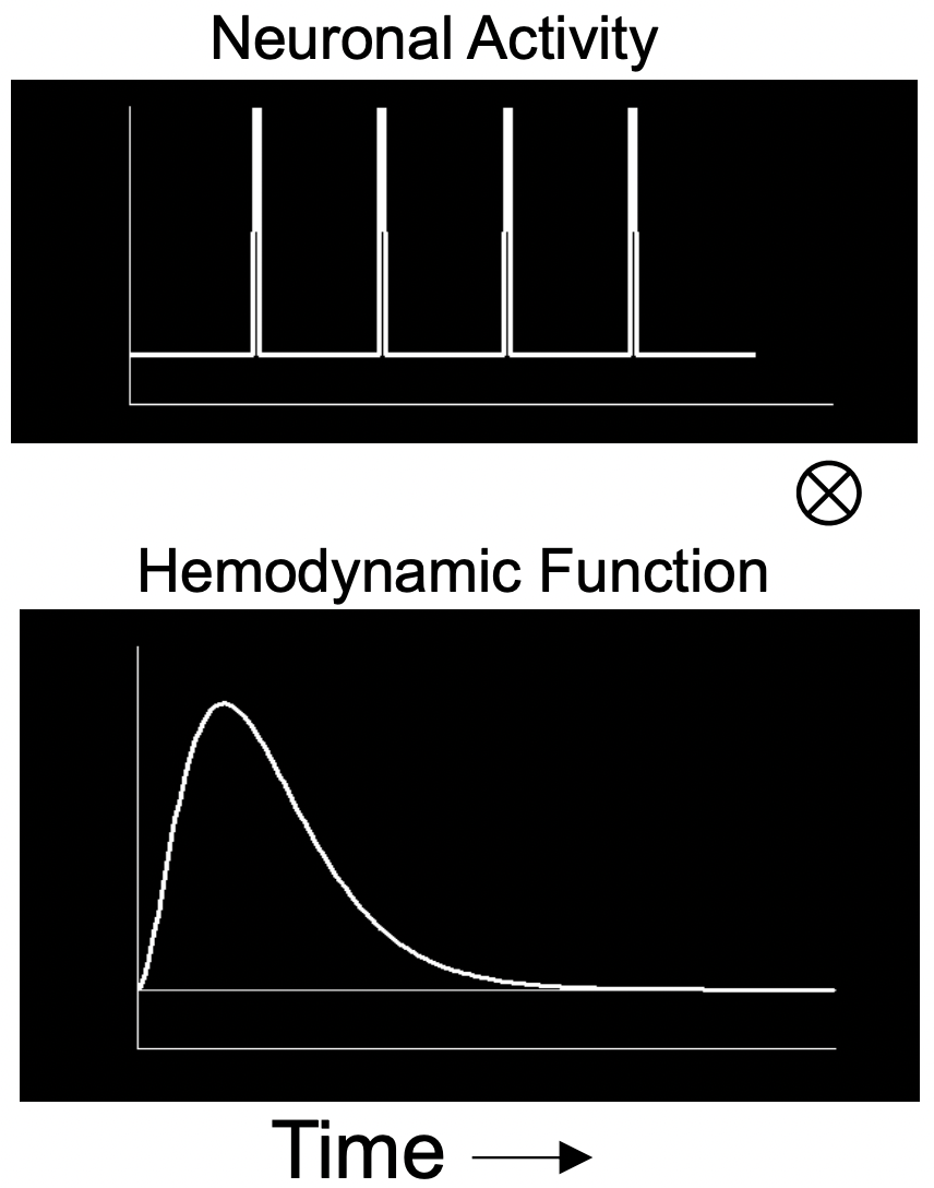 Convolve neuronal activity with HRF.