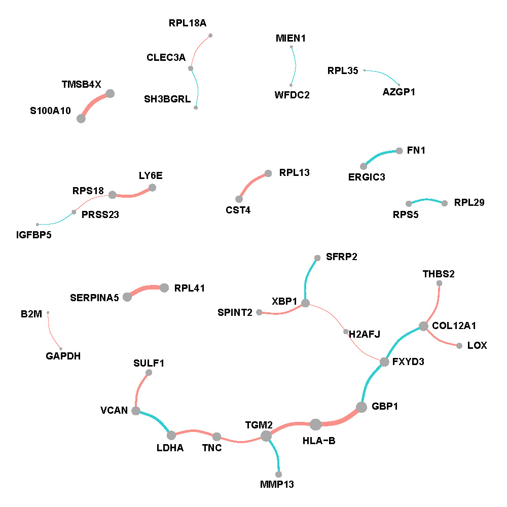 Network of normal region in breast cancer.