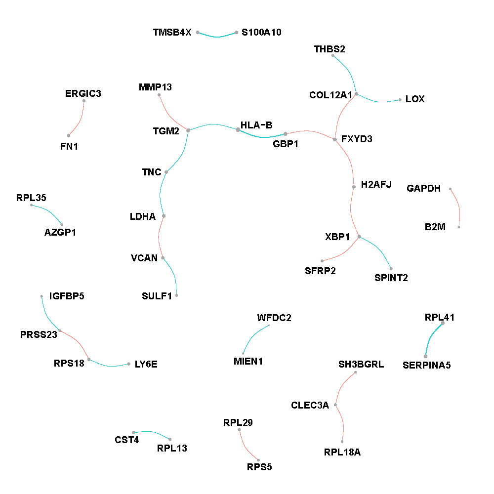 Network of intermediate region in breast cancer.