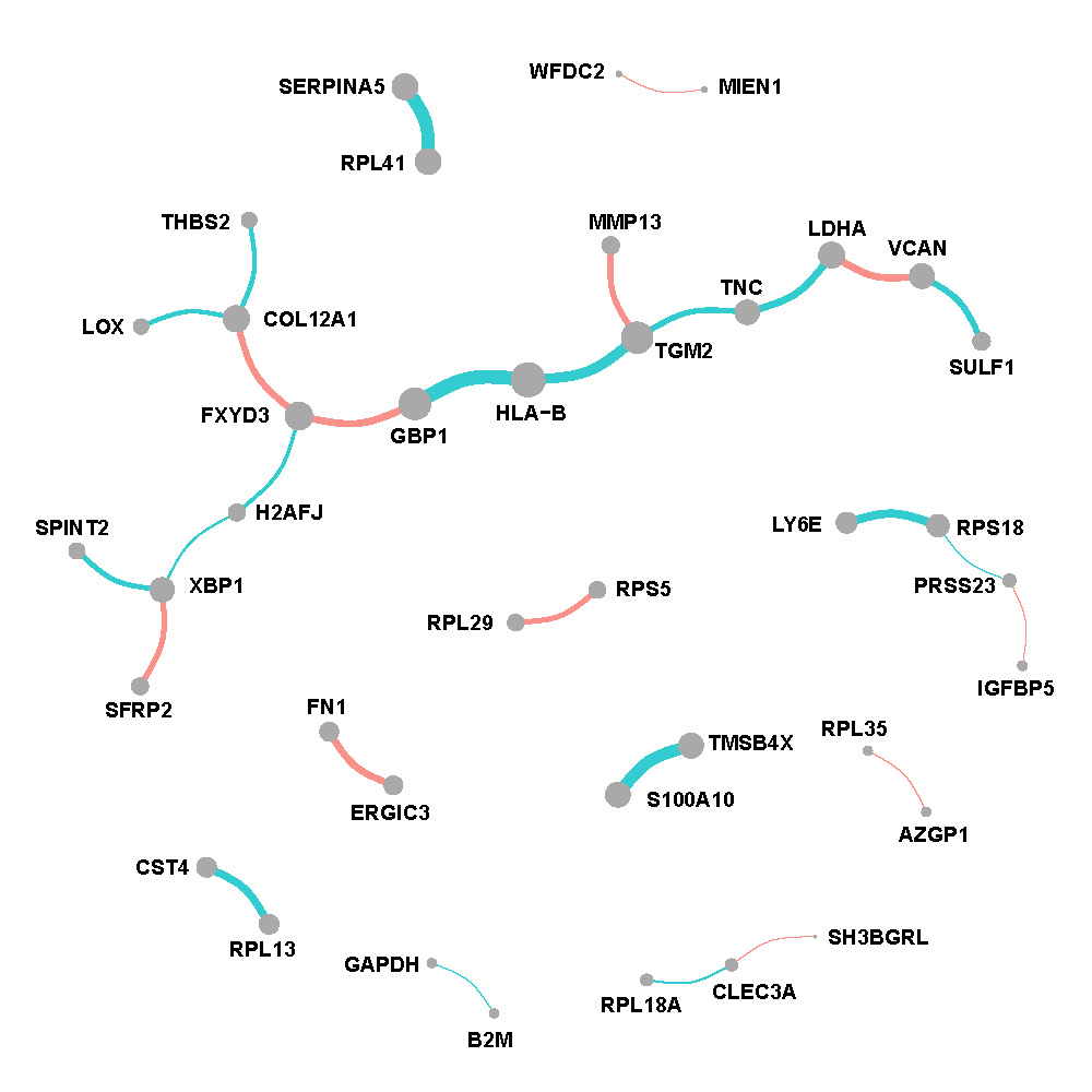 Network of tumor region in breast cancer.