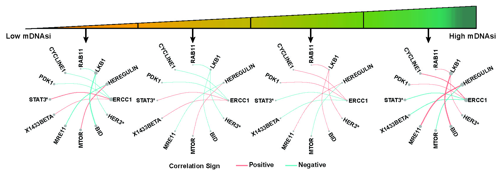 Networks for proteins with top five connectivity degrees corresponded to each quarter of mRNAsi.