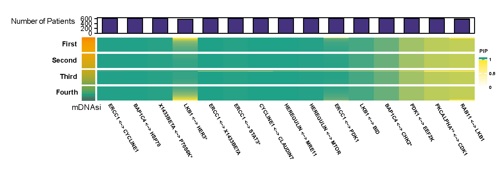 Posterior inclusion probability (PIP) of selected edges with varying mDNAsi and median value of mRNAsi and age.