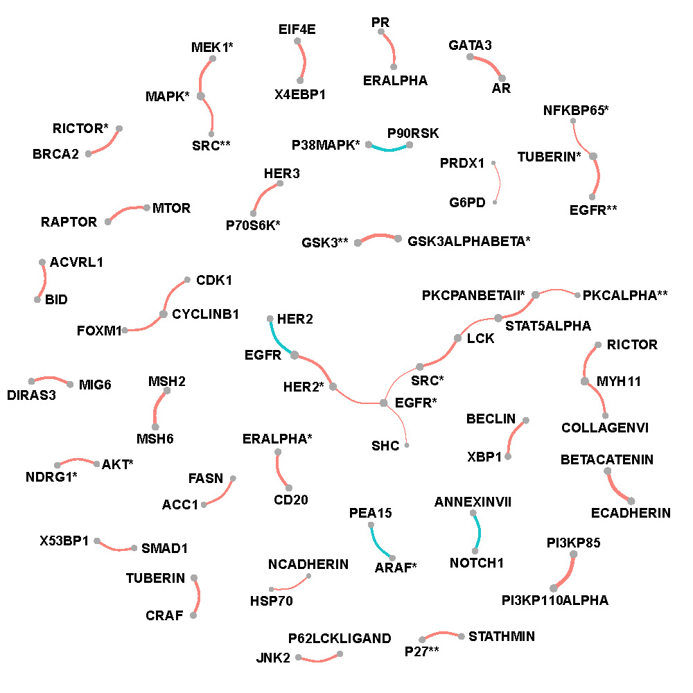 Network of selected protein pairs in Basal-like breast cancer patients.