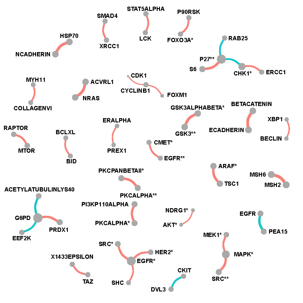 Network of selected protein pairs in Her2-enriched breast cancer patients.