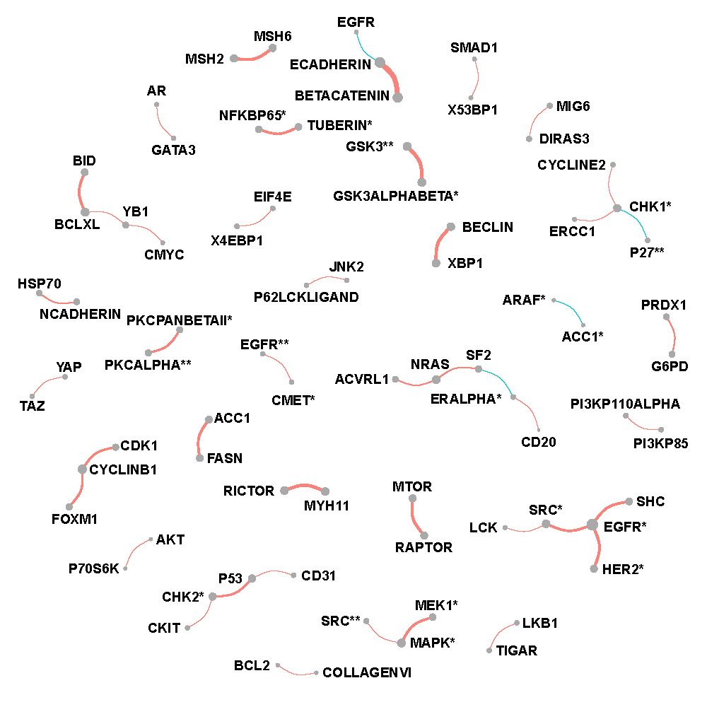 Network of selected protein pairs in Luminal A +  B breast cancer patients.