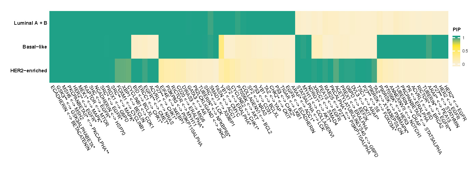 Posterior inclusion probability (PIP) of selected edges in each PAM50 subtype of BRCA.