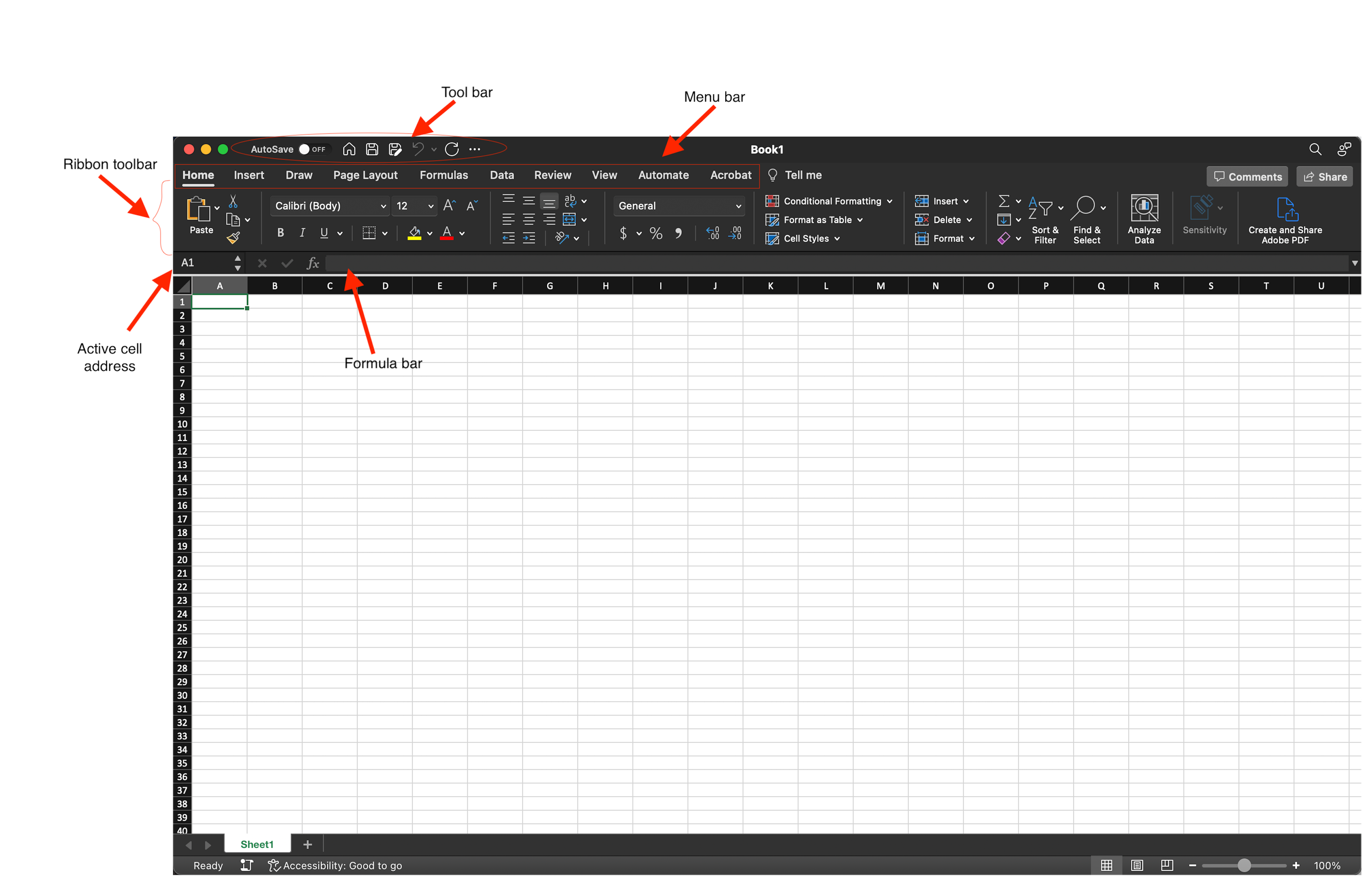 Excel Window as shown on a MAC.