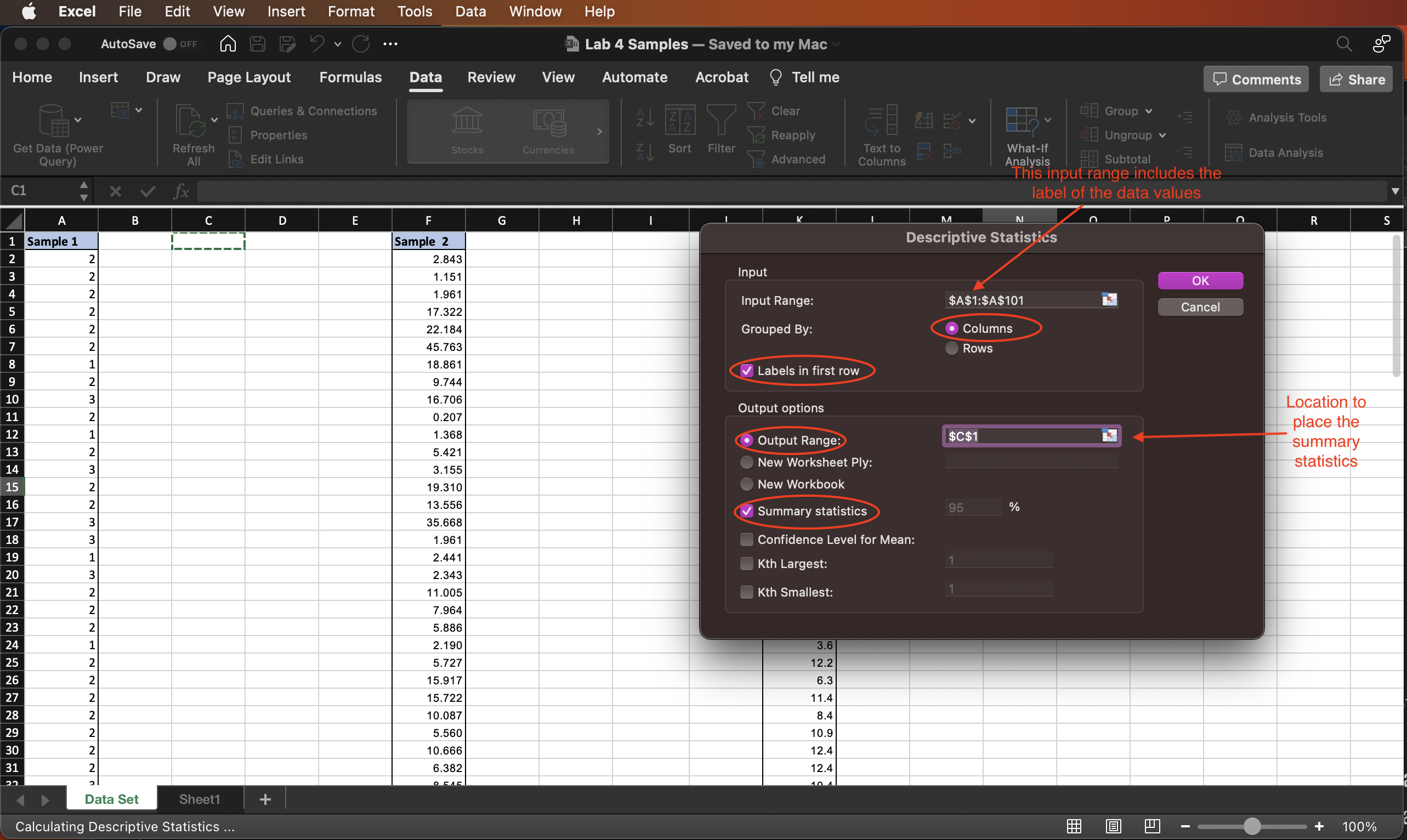 A screenshot of the Descriptive Statistics dialog window.