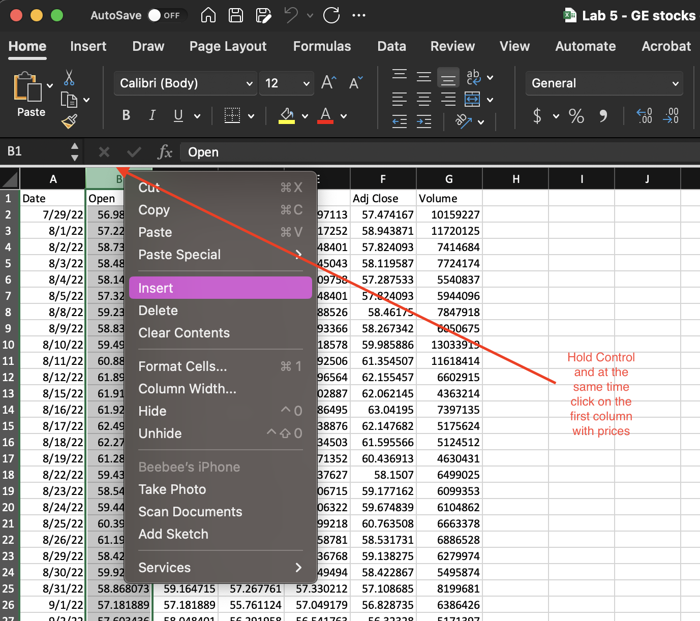 A screenshot of the insert column menu on MAC.