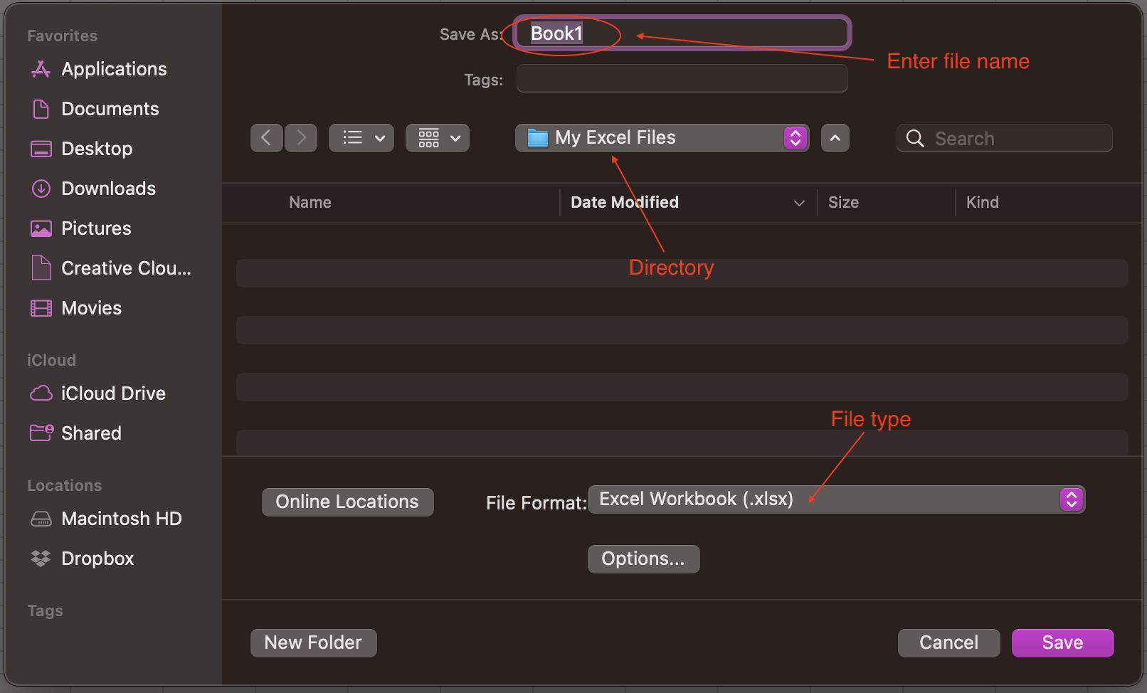 A dialog box on a MAC showing where to enter file name, select the directory and file type.