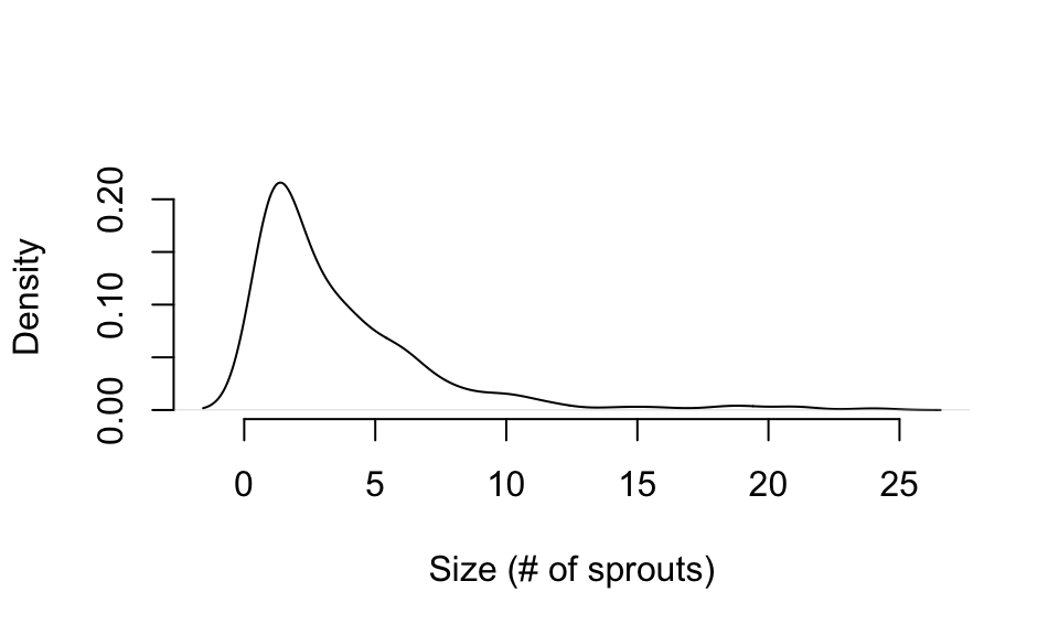 Distribution of size in *Cypripedium candidum*