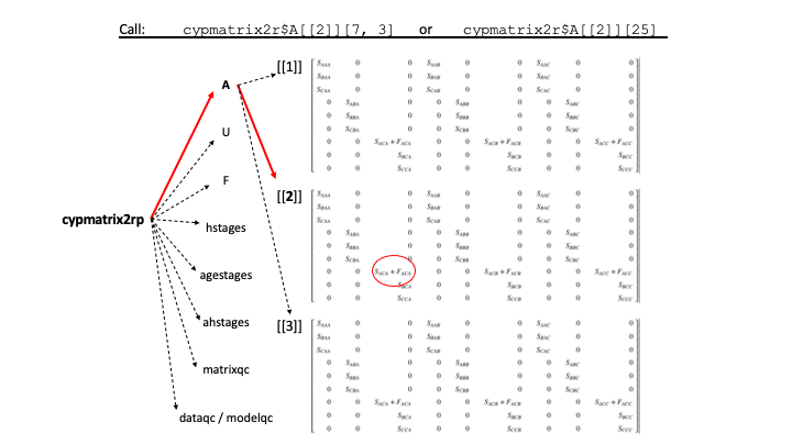  Structure of a lefkoMat object