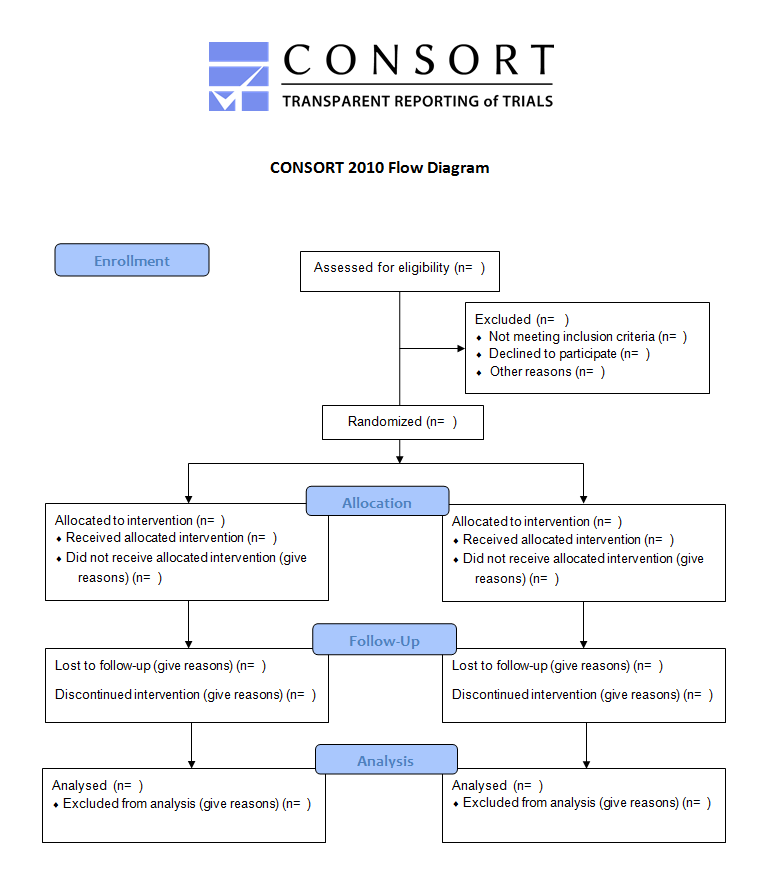 The CONSORT flow diagram.