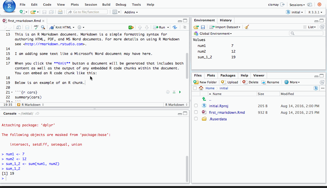 Showing the Console interacting with an R Markdown document R chunk