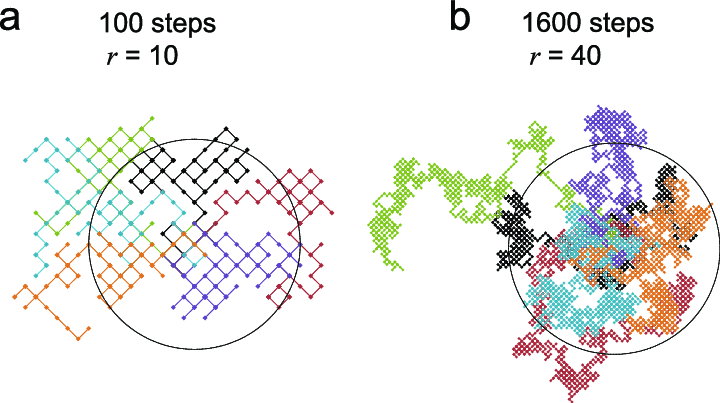 Diagram of Two-Dimensional Random Walk Model