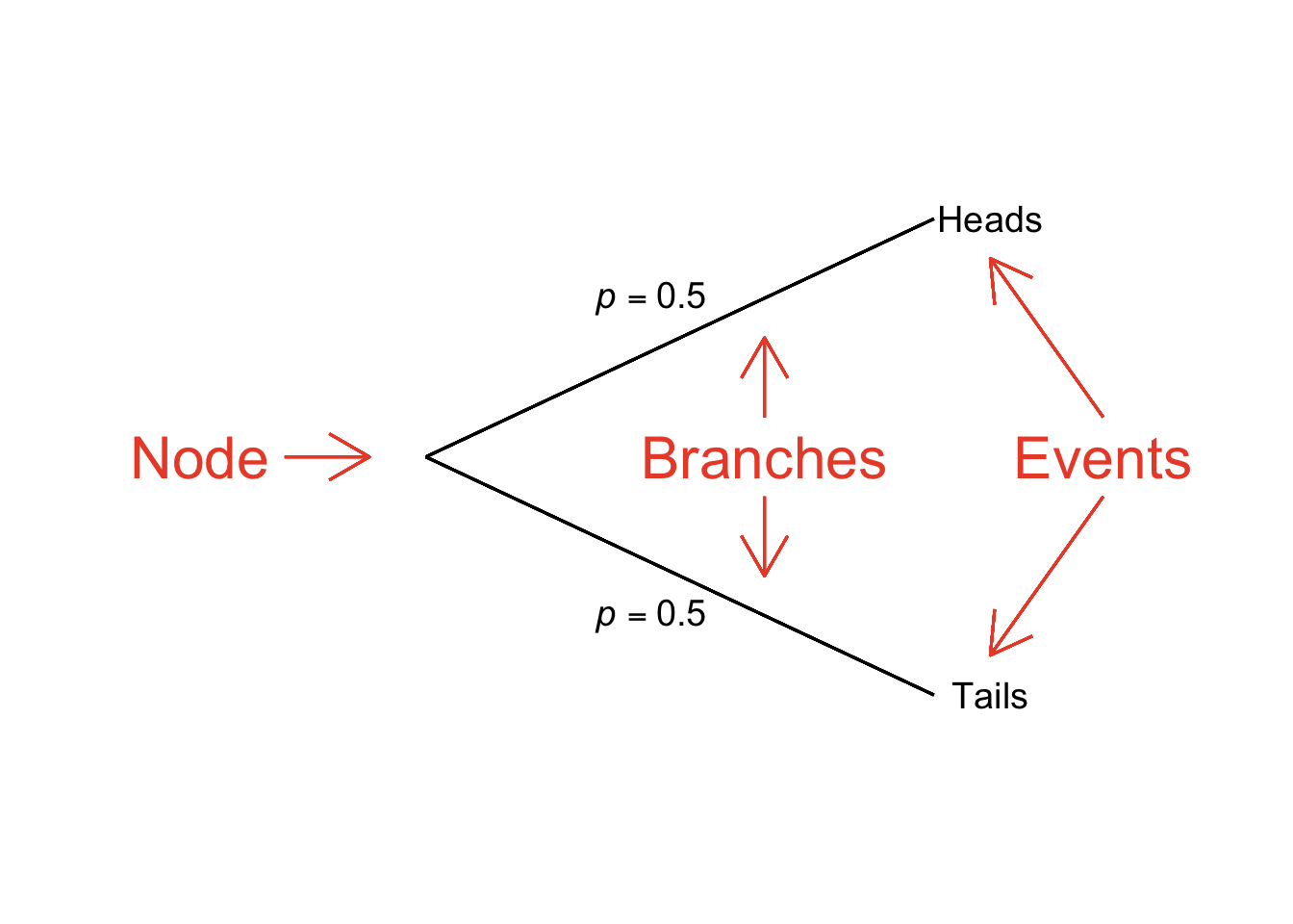 Probability Tree Depicting One Flip of a Fair Coin