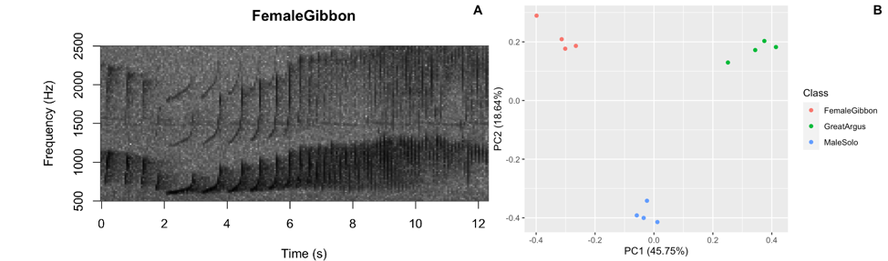 Sample figures from the analyzing acoustic data lab