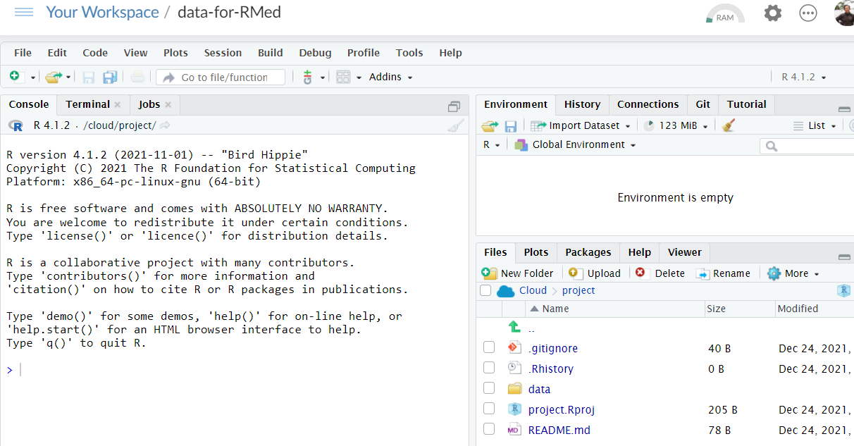 A new RStudio Cloud Project