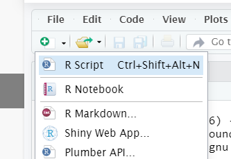 New R Script