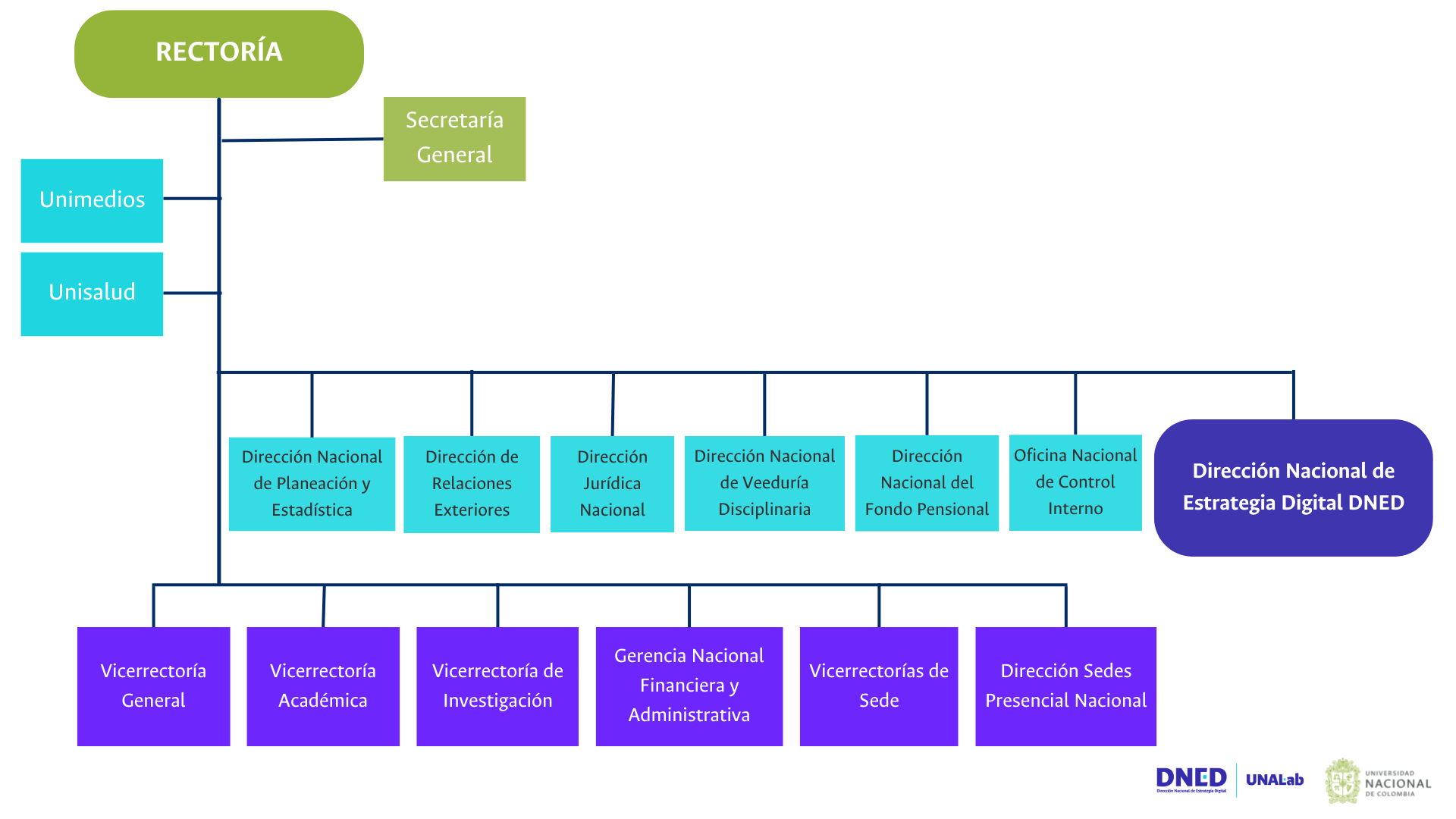 Organigrama de la DNED <br> Fuente: Elaboración propia