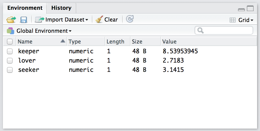 The Rstudio "Environment" panel shows you the contents of the workspace. Compare this "grid" view to the "list" earlier