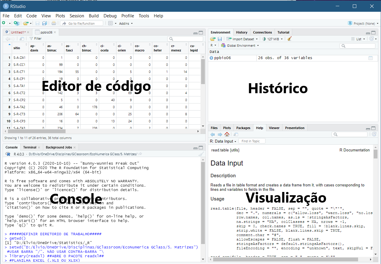 Interface típica do RStudio e nome dos paineis  ou janelas.