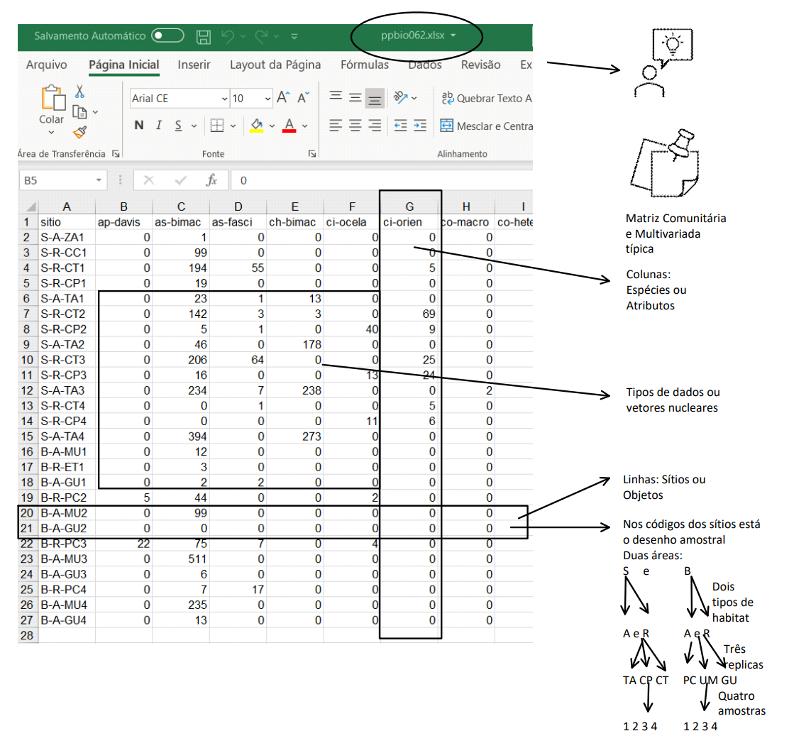 Usaremos uma matriz multivariada (sítios x espécies, matriz comunitária) do PPBio. Identifique na figura abaixo os elementos que compõem uma matriz multivariada