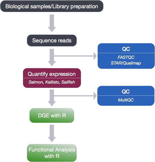 RNA-seq full workflow