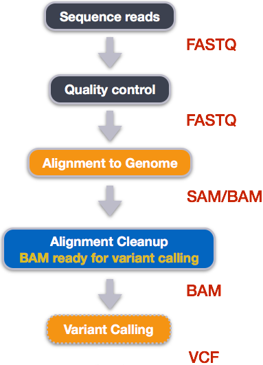 **Variant calling workflow**