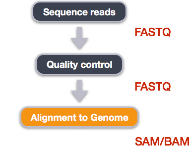 **Alignment to reference geneome**