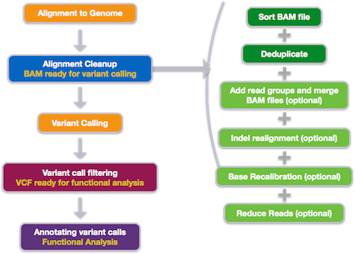 **Variant calling workflow**