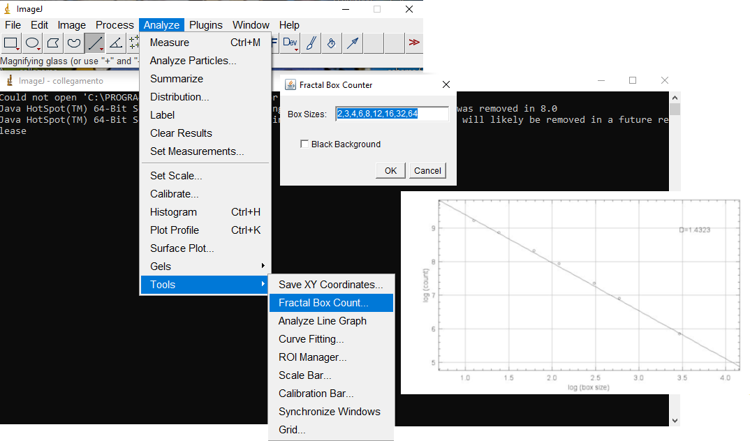 Fractal analysis and resulting plot